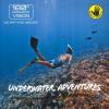 image:imageBody Glove  Free Breathing Snorkel Full FACE MASK Setwith FINSTravel BagAnti FogAnti LeakPanoramic ViewCamera MountOpen WaterScuba DivingSnorkeling GearSET LXL  913