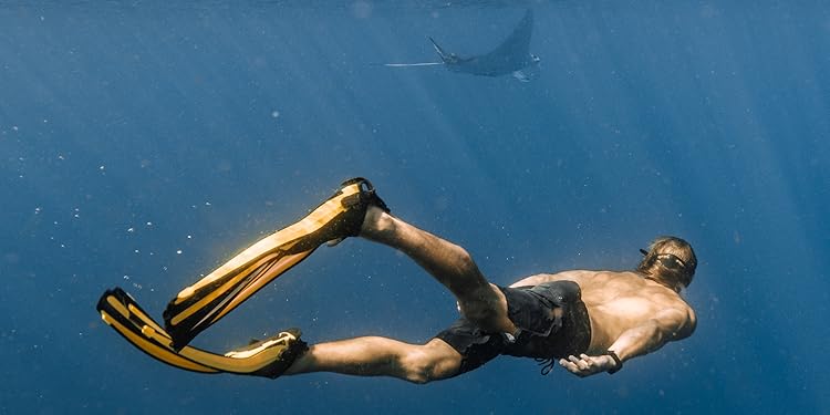 Wetsuits & Family Swimwear — Shop Body Glove