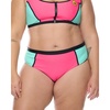 image:imageHigh Tide Plus Size High Waist Bikini Bottom Swimsuit Available in Sizes 1X2X3X