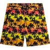 Orange/Red Palm Trees
