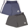 Gray / Blue